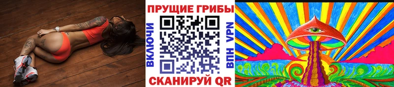 наркошоп  KRAKEN рабочий сайт  Псилоцибиновые грибы MAGIC MUSHROOMS  Суворов 