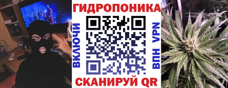 Бошки марихуана сатива  Суворов 